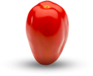 San Marzano